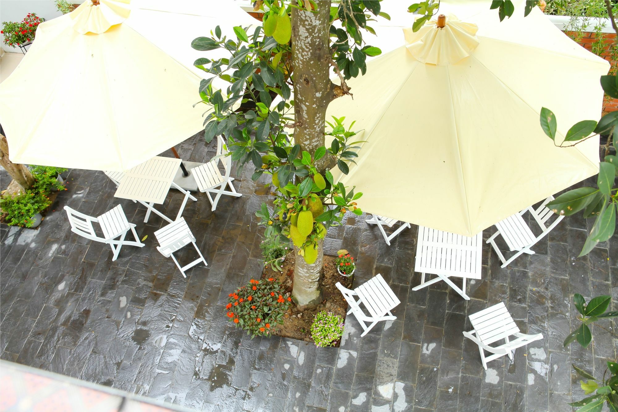 Blue Lake Homestay Hoi An Exterior foto